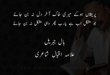 پريشاں ہوکے ميری خاک آخر دل نہ بن جائے
