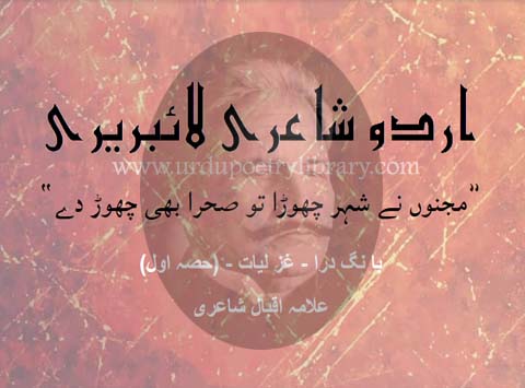 Majnoon Ne Sheher Chora Tu Sehra Bhi Chor De