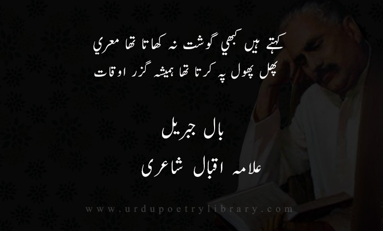 ابوالعلامعری
