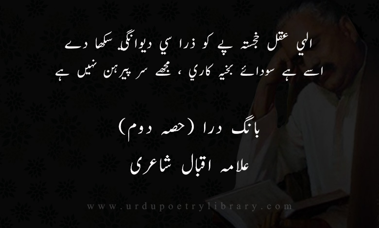 الہي عقل خجستہ پے کو ذرا سي ديوانگي سکھا دے
