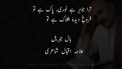 تراجوہر ہے نوری ، پاک ہے تو