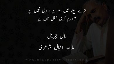 ترے سينے ميں دم ہے ، دل نہيں ہے