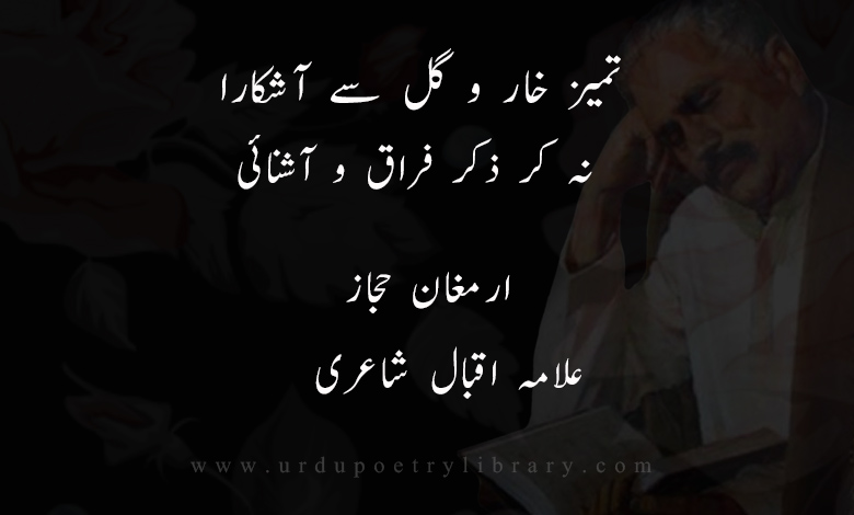 تميز-خار-و-گل-سے-آشکارا