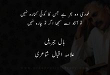 خودی وہ بحر ہے جس کا کوئی کنارہ نہيں