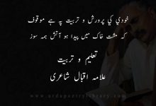 خودی کی تربيت