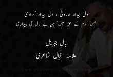 دل بيدار فاروقی ، دل بيدار کراری