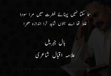 سما سکتا نہيں پہنائے فطرت ميں مرا سودا