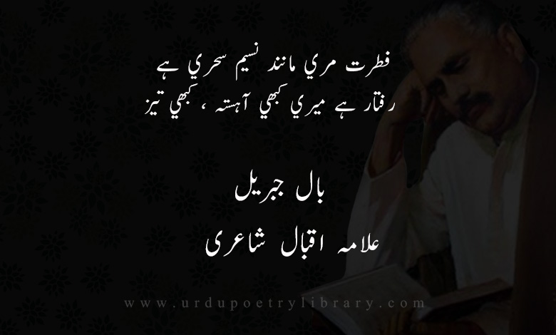 قطعہ- فطرت مري مانند نسيم سحري ہے