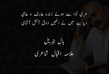 مری نوا سے ہوئے زندہ عارف و عامی