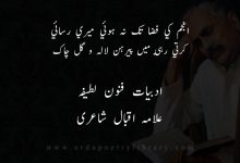 نسيم و شبنم