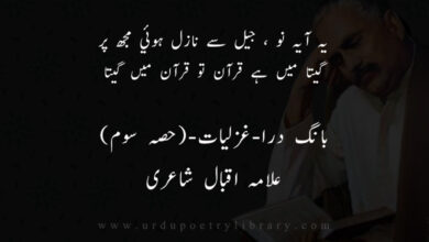 يہ-آيہ-نو-،-جيل-سے-نازل-ہوئي-مجھ-پر