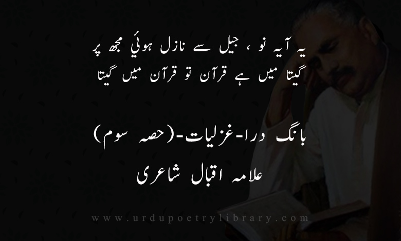 يہ آيہ نو ، جيل سے نازل ہوئي مجھ پر