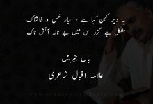 يہ دير کہن کيا ہے ، انبار خس و خاشاک