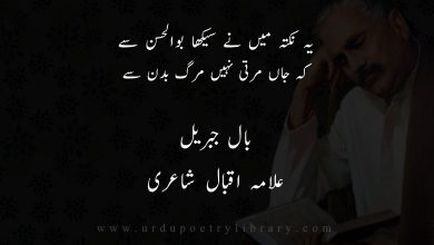 يہ نکتہ ميں نے سيکھا بوالحسن سے