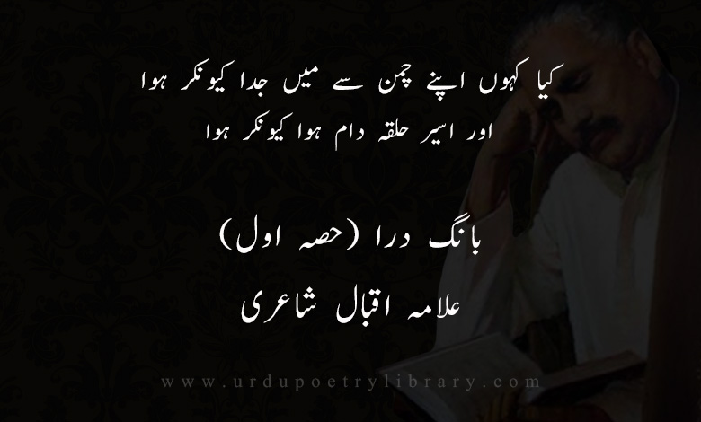 کيا کہوں اپنے چمن سے ميں جدا کيونکر ہوا
