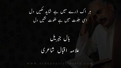 ہر اک ذرے ميں ہے شايد مکيں دل