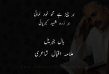 ہر-چيز-ہے-محو-خود-نمائی