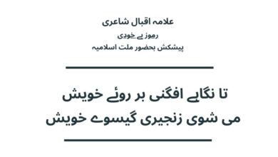 تا نگاہے افگنی بر روئے خویش