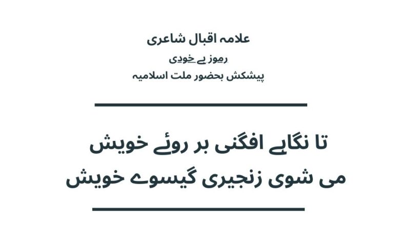 تا نگاہے افگنی بر روئے خویش