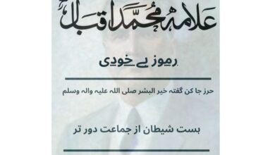 حرز جا کن گفتہ خیر البشر صلی اللہ علیہ والہ وسلم