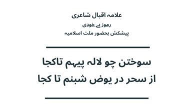 سوختن چو لالہ پیہم تاکجا