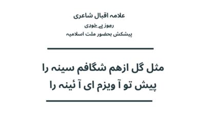 مثل گل ازھم شگافم سینہ را