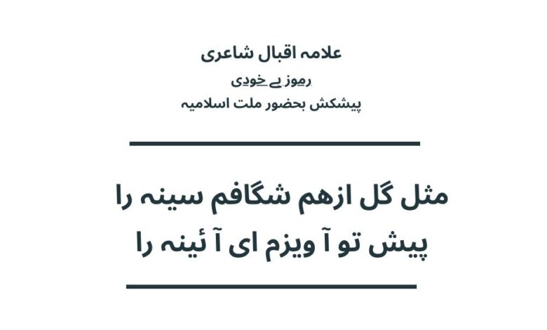 مثل گل ازھم شگافم سینہ را