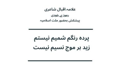 پردہ رنگم شمیم نیستم